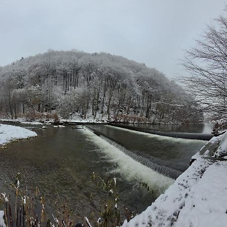 Goscinny Dom Ustroń Esterno foto