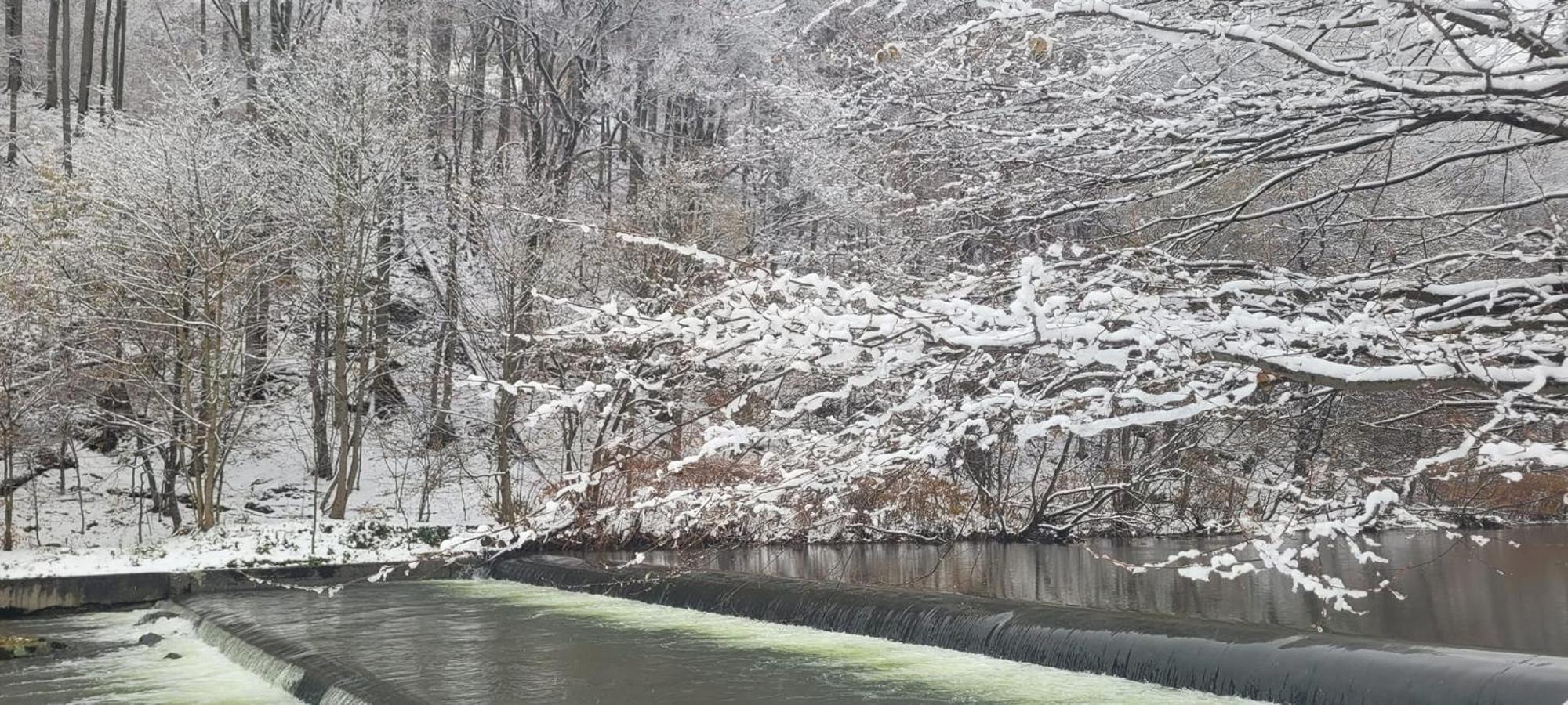 Goscinny Dom Ustroń Esterno foto
