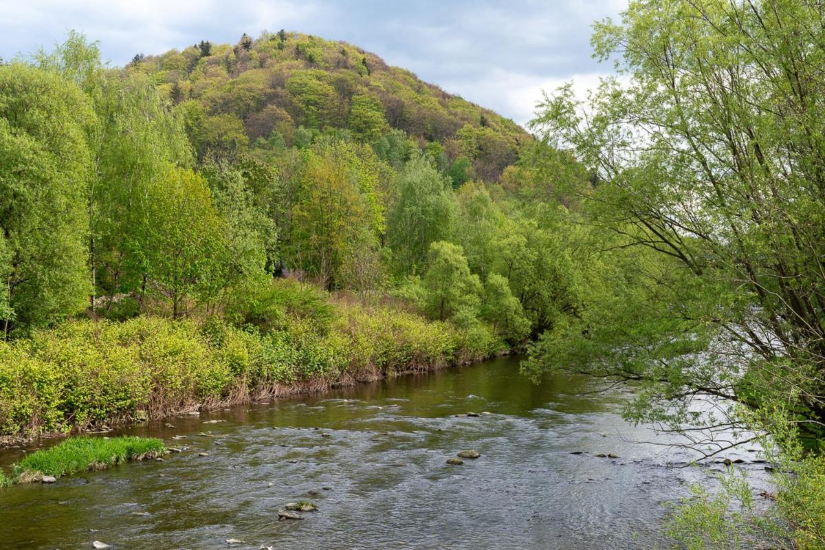 Goscinny Dom Ustroń Esterno foto